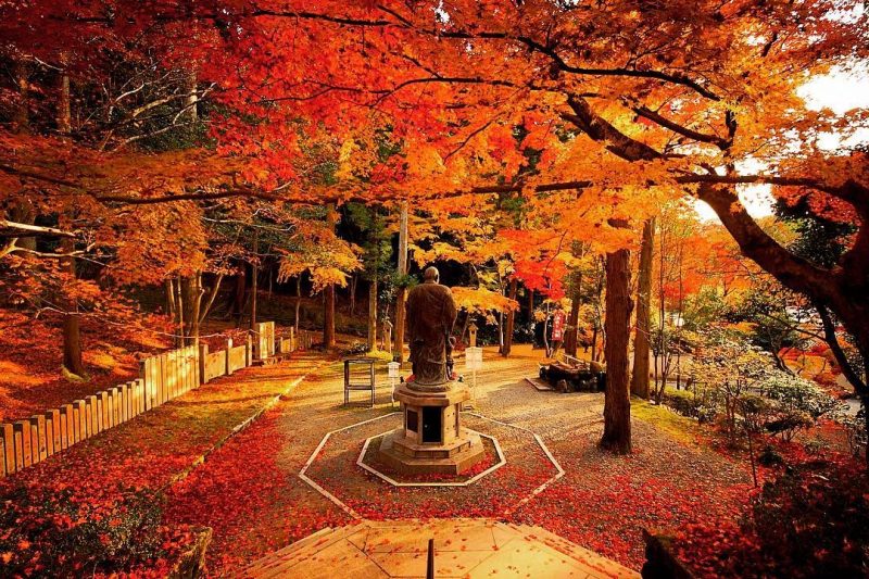 秋の京都 インスタグラムキャンペーン 入選作品について 京都市観光協会 Dmo Kyoto